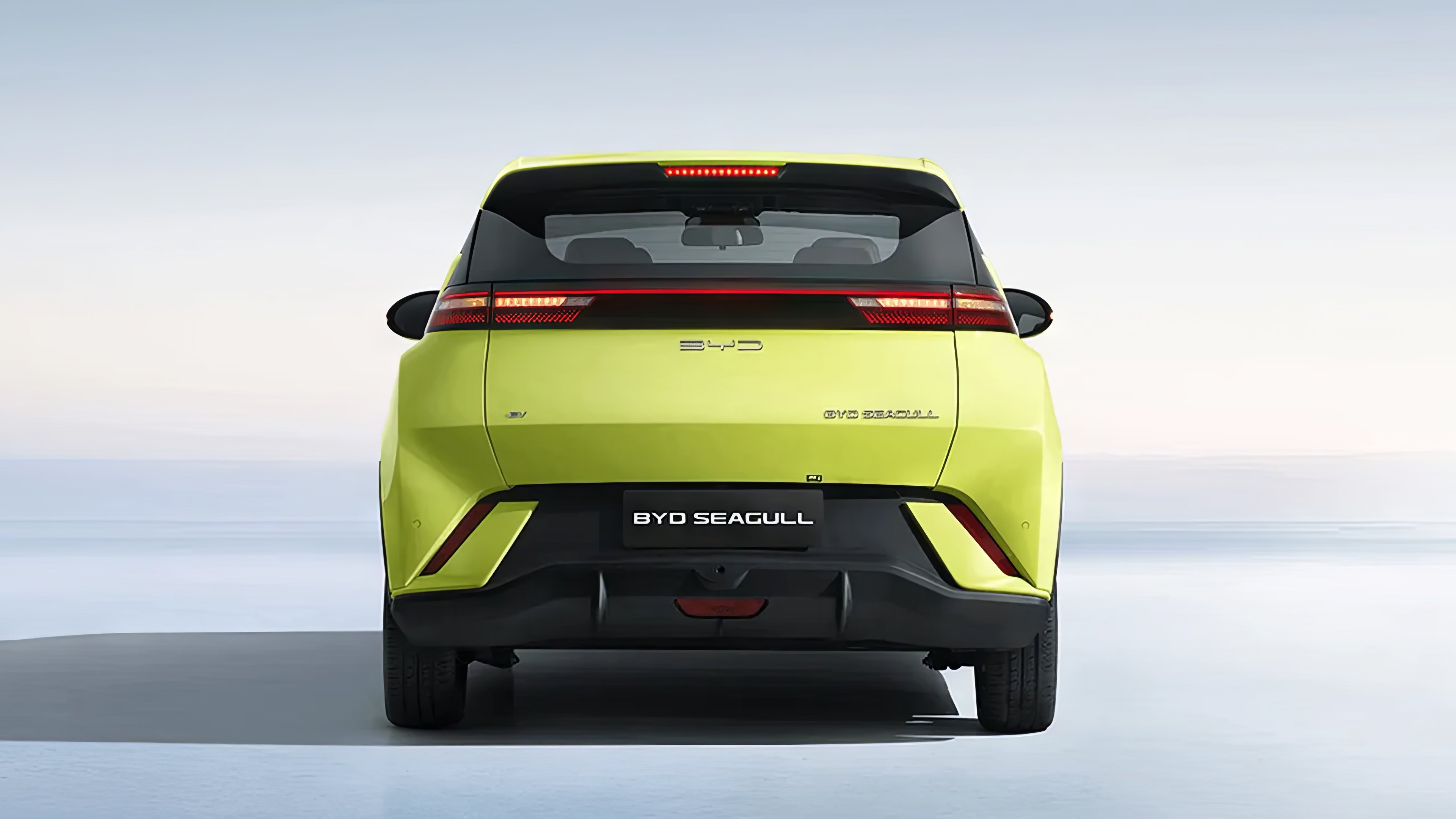 BYD Seagull Base/Vanity Edition rear view