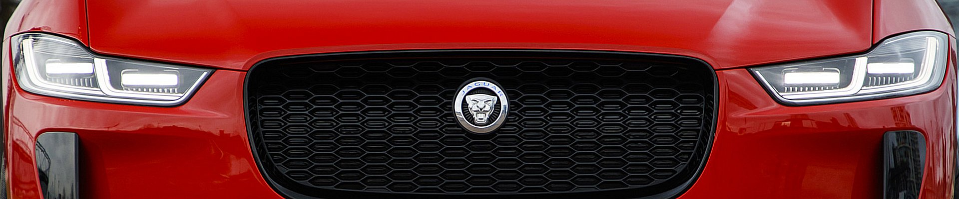 Jaguar emblem