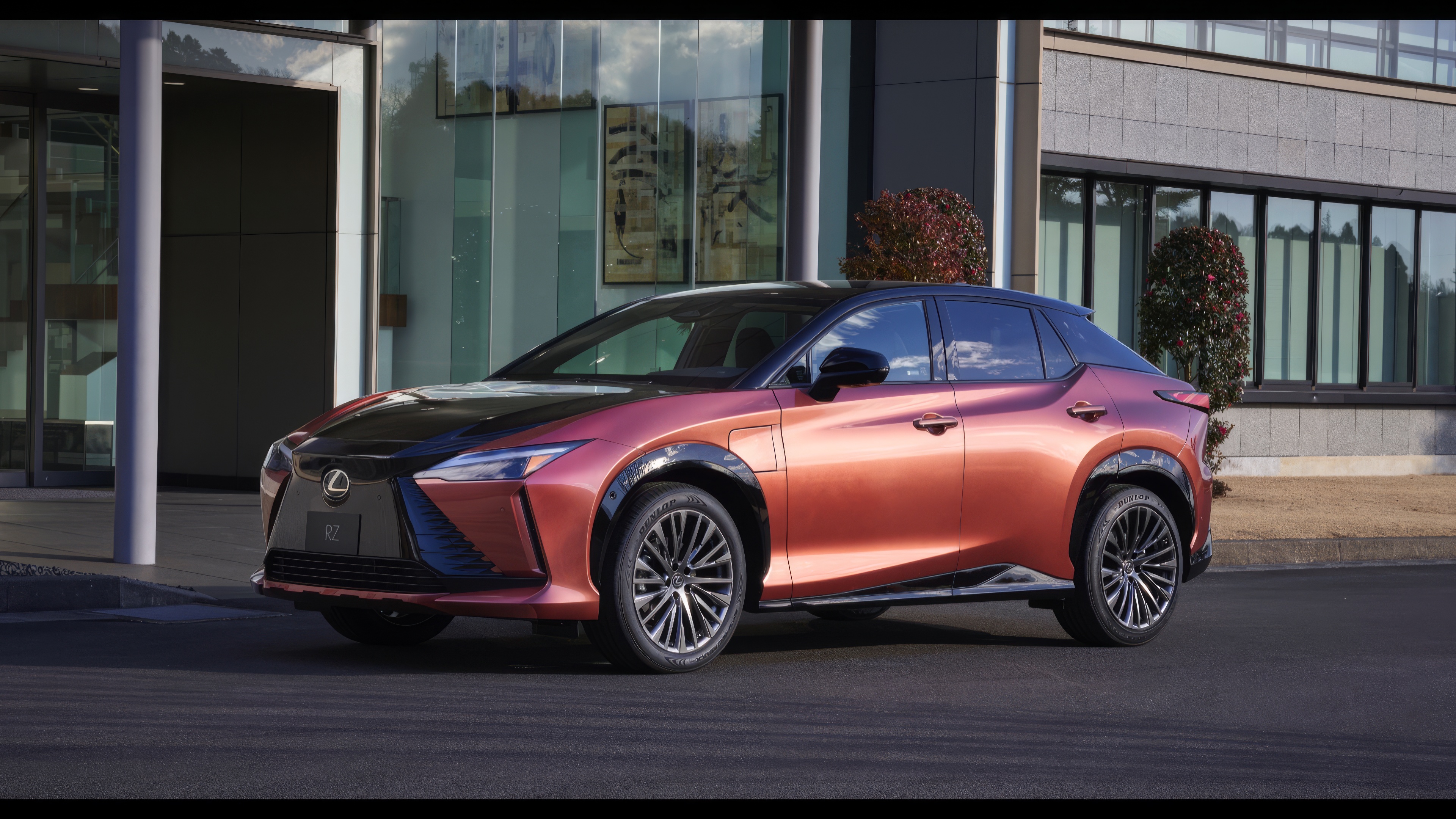 Lexus brand EVs