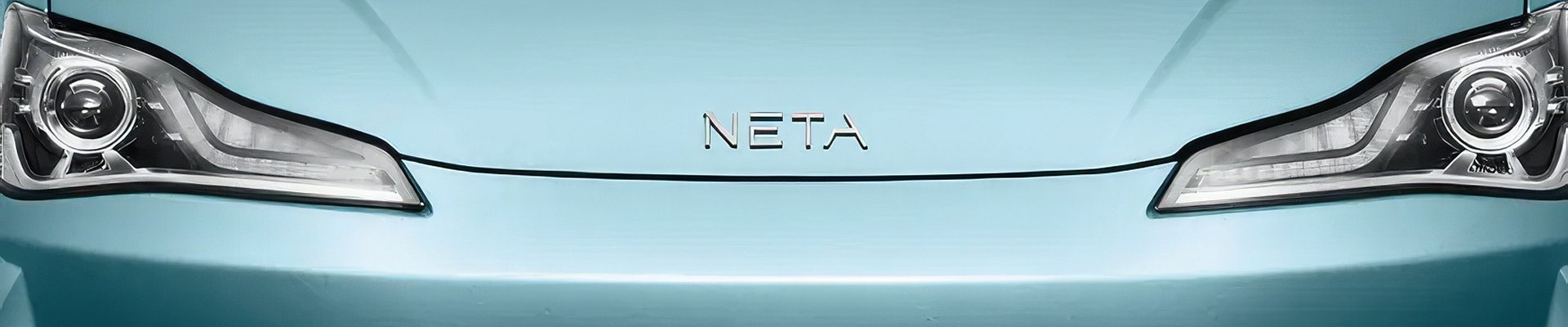 Neta emblem
